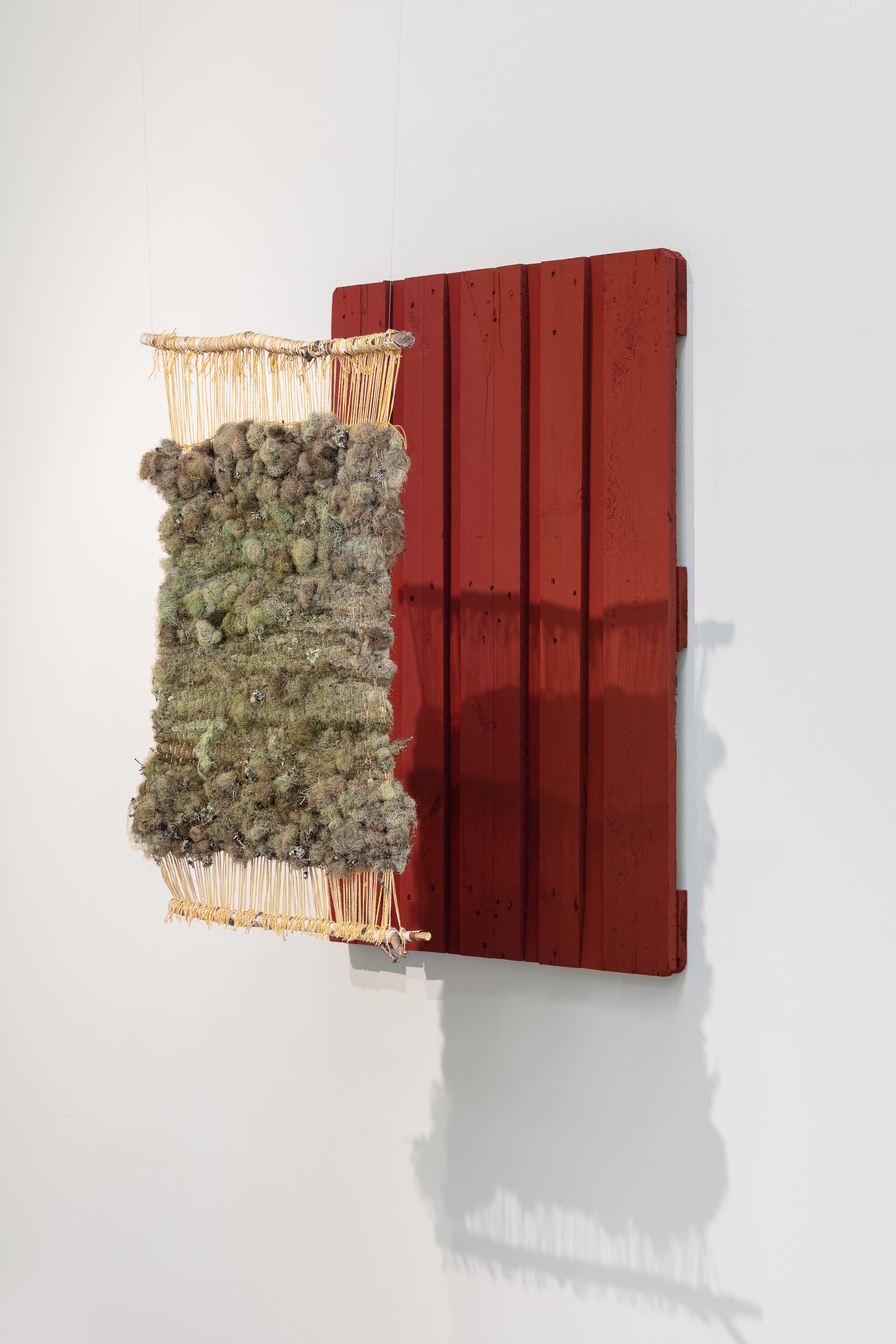 A living textile woven of lichens